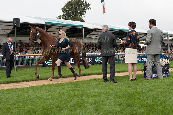 Marilyn Little (USA) and RF Demeter at the 1st horse inspection