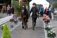ARNAUD BOITEAU (FRA) AND QUORIANO 'ENE HN'
