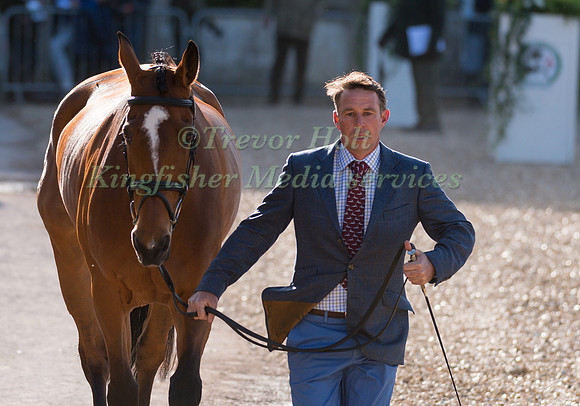 SAM GRIFFITHS (AUS) AND  PAULANK BROCKAGH