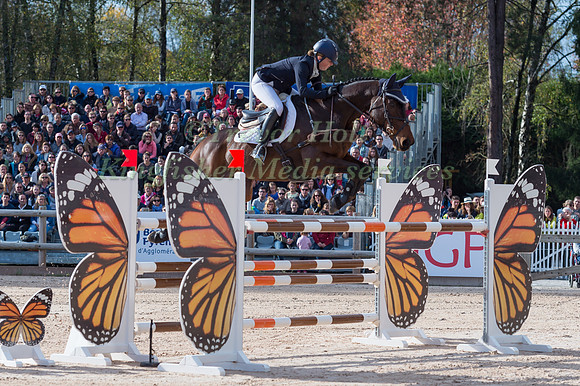 Kate HONEY  (GBR) AND FERNHILL NOW OR NEVER