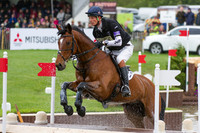 William Fox-Pitt and Parklane Hawk