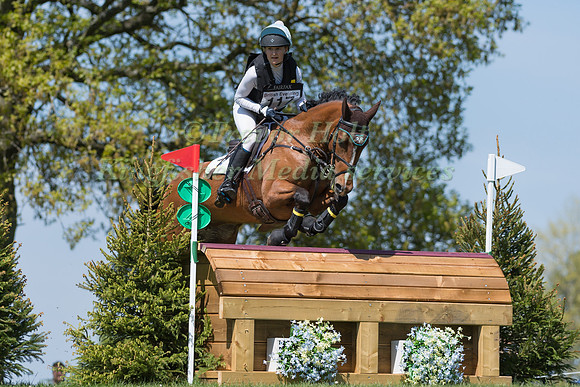 ANNA PRICE RIDING  SHADOW STAR QUALITY