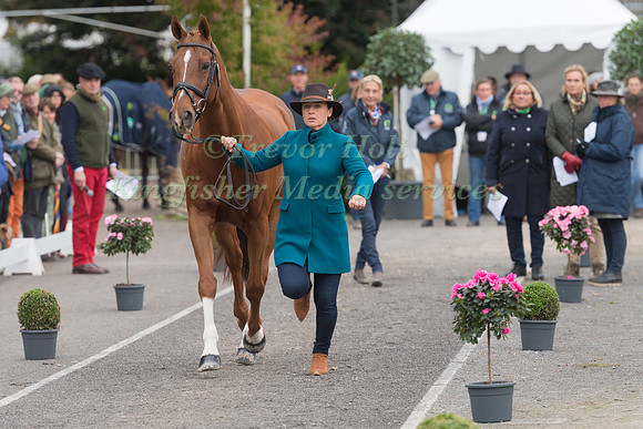 ALICE DUNSDON (GBR) AND COOL INVESTMENT