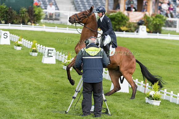 Sarah Ennis (IRL) riding Horseware Stellor Rebound in the Dressage phase  of  the 2017 Mitsubishi Motors  Badminton Horse Trials