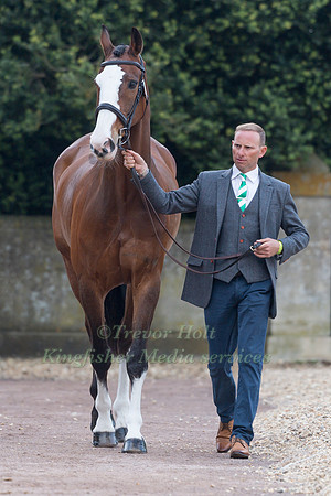 Michael Owen (GBR) and  Bradeley Law