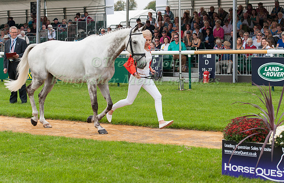 Gina Ruck (GBR) and Rehy Too at the 1st horse inspection