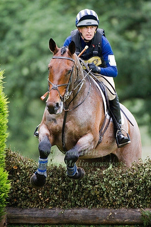 David Llewellyn and Quintessential II