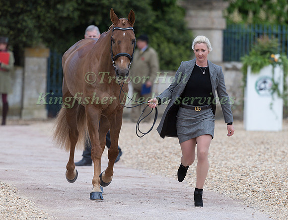 Georgie Spence (GBR) and  Halltown Harley