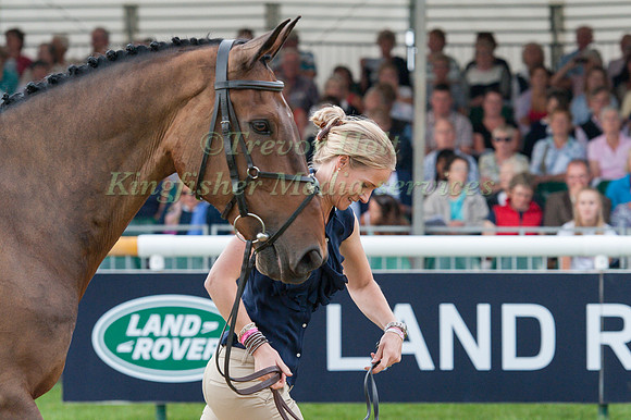 Katherine Hague (GBR) and Royal Council at the 1st horse inspection