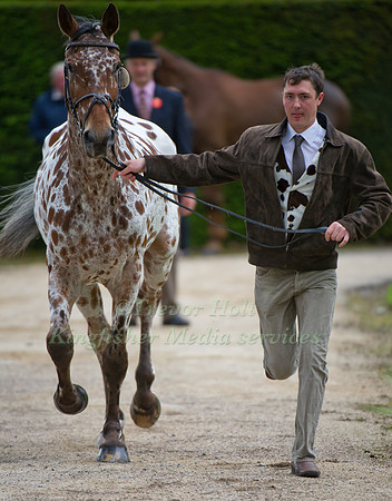 Tim Cheffings and Colby II
