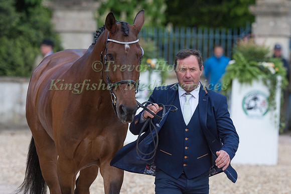 Michael Ryan (IRL) and  Dunlough Striker at the final horse inspection of the 2019 Mitsubishi Motors Badminton Horse Trials