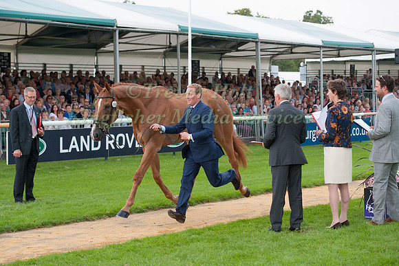 Oliver Townend (GBR) and Armada at the 1st horse inspection