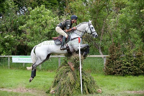 Andrew Nicholson and Avebury