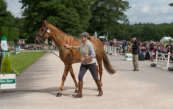 JEANETTE BRAKEWELL (GBR) AND FOREVER RED AT THE EQUI-TREK CCI *** FINAL HORSE INSPECTION OF THE 2017 BRAMHAM INTERNATIONAL HORSE TRIALS