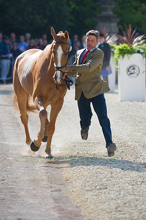 Andrew Nicholson and Nereo