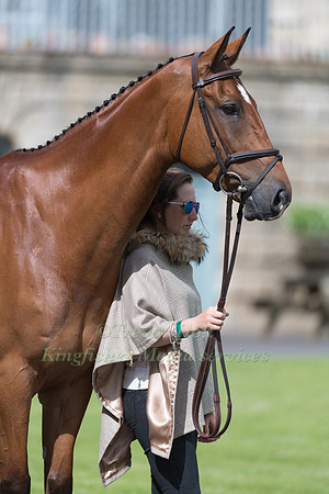 LAURA COLLETT (GBR) AND MR BASS AT THE EQUI-TREK CCI *** FINAL HORSE INSPECTION OF THE 2017 BRAMHAM INTERNATIONAL HORSE TRIALS