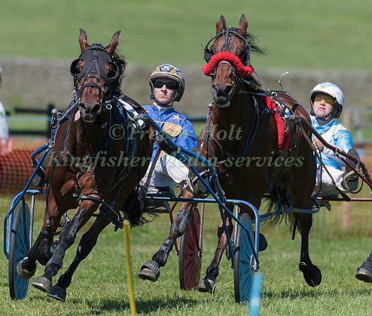Harness racing at Helifield , Yorkshire