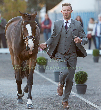 Alexander WHEWALL (GBR) AND CHAKIRIS STARBR) AND CHAKIRIS STAR