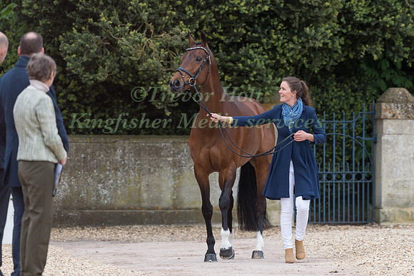 Virginia Thompson (NZL) and  Star Nouveau