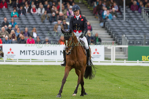Kristina Cook (GBR) and  Star Witness