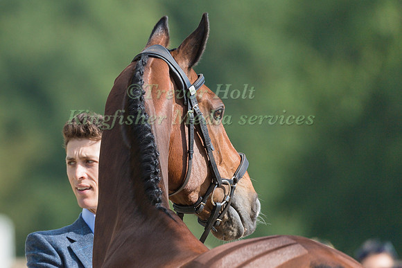 WILL RAWLIN (GBR) AND V.I.P VINNIE