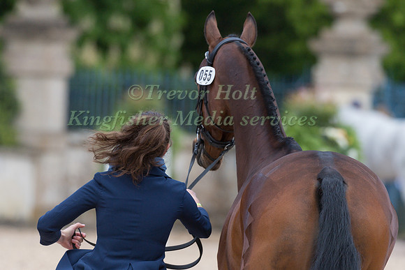 Virginia Thompson (NZL) and  Star Nouveau