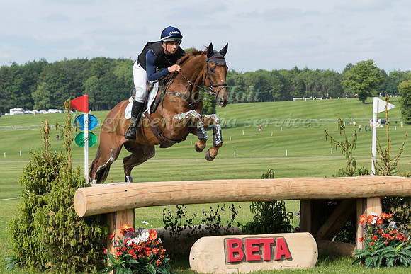 JAMES  AVERY (NZL) AND OPTIMUS PRIME II