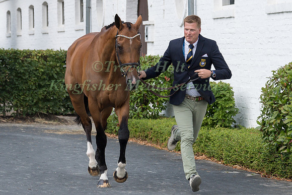 NIKLAS LINDBACK (SWE) AND FOCUS FILIOCUS