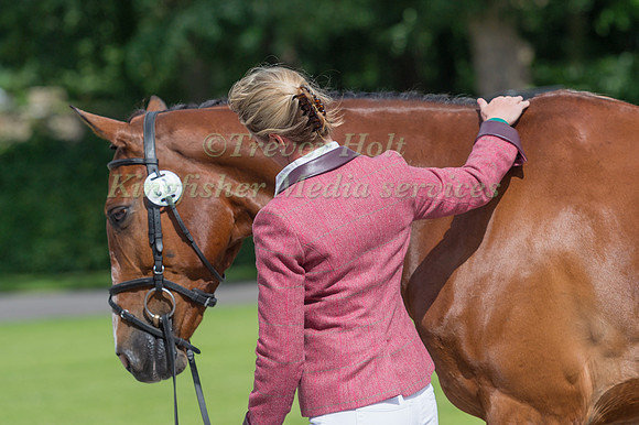 NICOLA WILSON (GBR) AND ONE TWO MANY AT THE EQUI-TREK CCI *** FINAL HORSE INSPECTION OF THE 2017 BRAMHAM INTERNATIONAL HORSE TRIALS