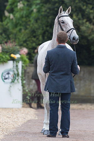 Oliver Townend (GBR) and  Ballaghmor Class