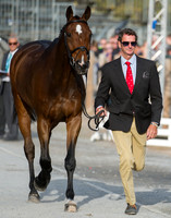 Mark Todd of New Zealand and NZB Campino