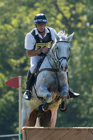 ANDREW NICHOLSON (NZL) AND AS IS