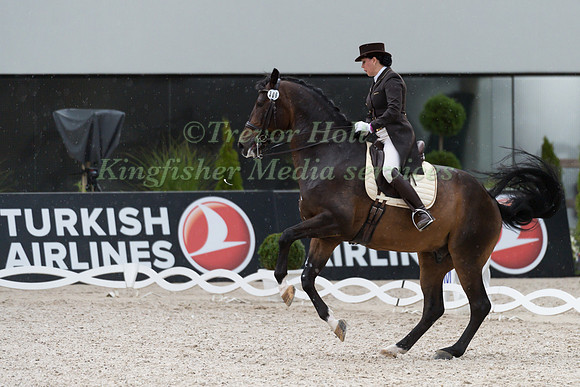 INESSA MERKULOVA AND ARUMS