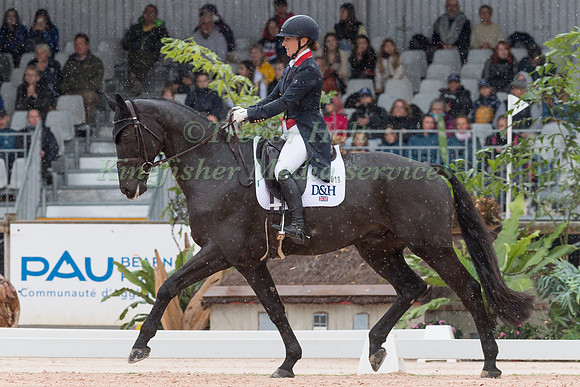 LAURA  COLLETT AND DACAPO