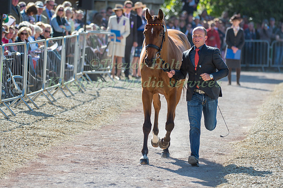 Michael Jung of Germany  and La Biosthetique - Sam FBW