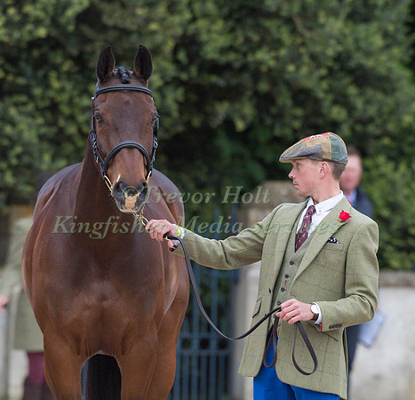 David Britnell (GBR) and  Continuity