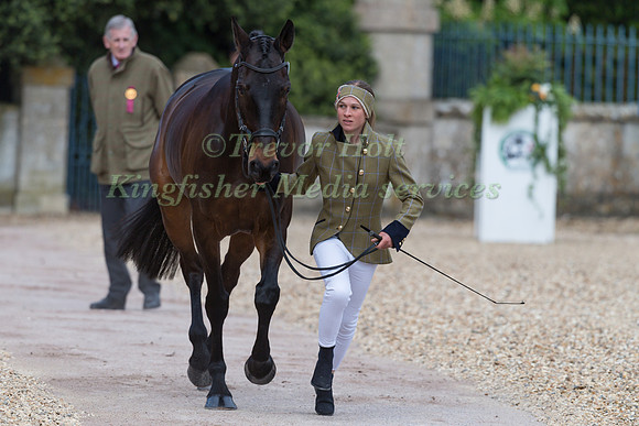 Nicky Hill (GBR) and  MGH Bingo Boy