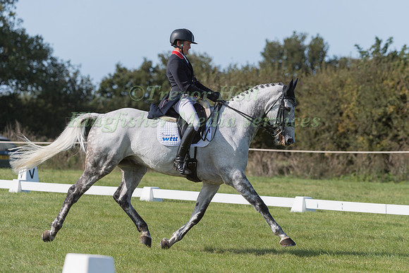 TOM MCEWEN AND DREAMAWAY II