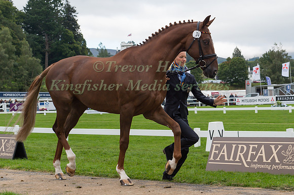 Sandra Auffarth of Germany with Opgun Louvo