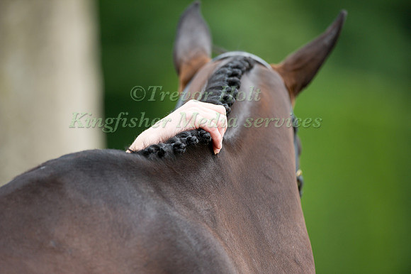 Pippa Funnelll & Pure Addiction