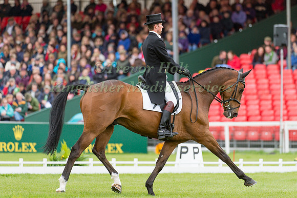 Tom Crisp (GBR) riding Coolys Luxury