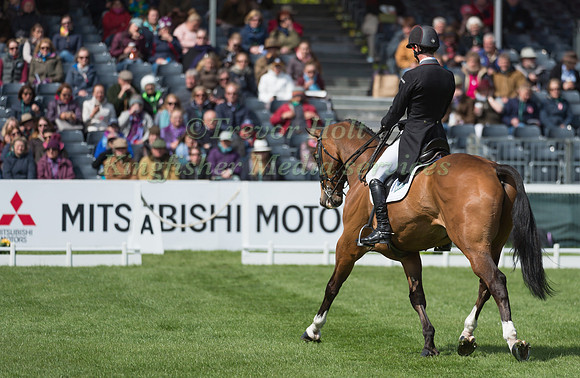 Paul Sims (GBR) riding Glengarnock in the Dressage phase  of  the 2017 Mitsubishi Motors  Badminton Horse Trials