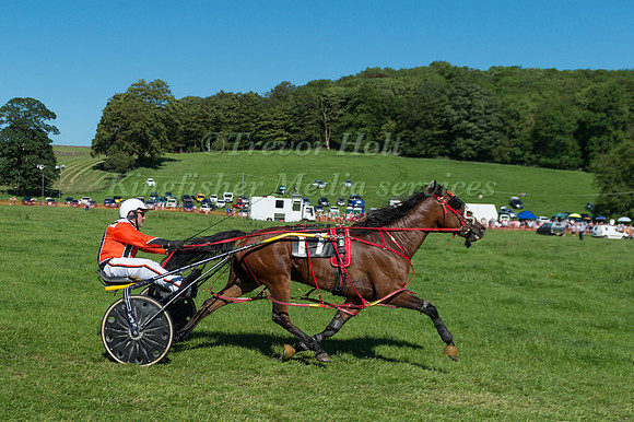 Harness racing at Helifield , Yorkshire