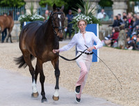 Alice Casburn (GBR) and Topspin