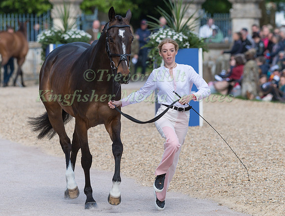 Alice Casburn (GBR) and Topspin