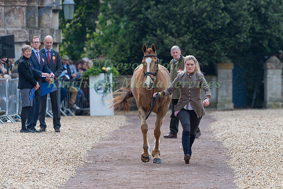 Clare Abbott (IRL) and  Euro Prince