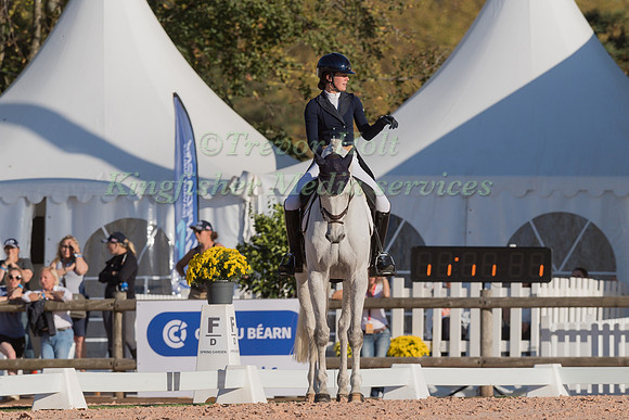 AILSA  WATES AND WOODLANDS PERSUASION