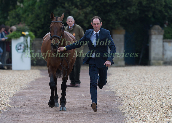 Joseph Murphy (IRL) and  Sportsfield Othello