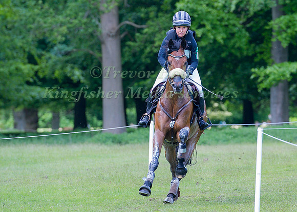 Bettina  Hoy (GER)  riding Seigneur Medicott