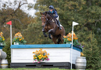 AMY TOUGH RIDING NOBLE HOTSHOT